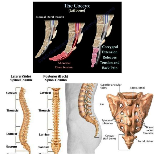 Fomi Coccyx Extra Thick Seat Cushion