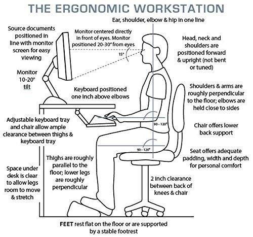 Fomi Lumbar Back Pillow | Upper Lower Support